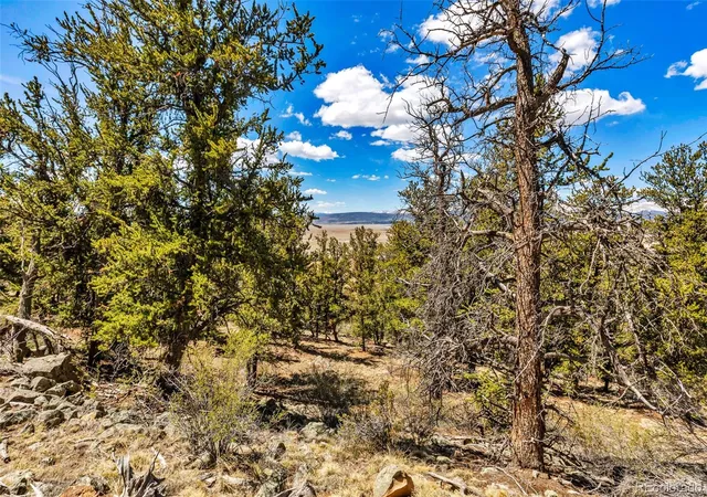 5th image of 5013 Middle Fork Vis, Fairplay, CO 80440 | MLS# 2966663