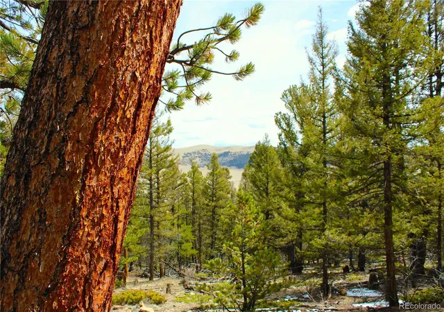 Photo 1 of Land for sale at 2882 Middle Frk Vista, Fairplay, CO 80440 | MLS# 3807443 | Listing updated on 2026-09-01