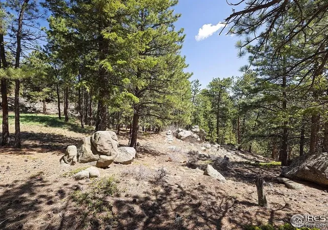 4th image of 213 Rocky Knob Ln, Nederland, CO 80466 | MLS# 5658351