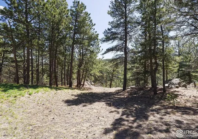 5th image of 213 Rocky Knob Ln, Nederland, CO 80466 | MLS# 5658351