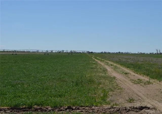 2nd image of 13955 Lanewood St, Brighton, CO 80603 | MLS# 2981603