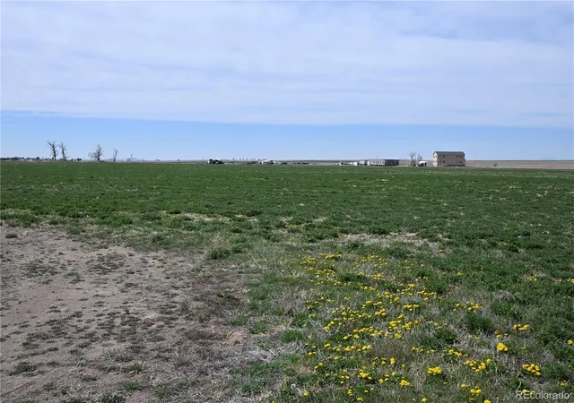 4th image of 13955 Lanewood St, Brighton, CO 80603 | MLS# 2981603