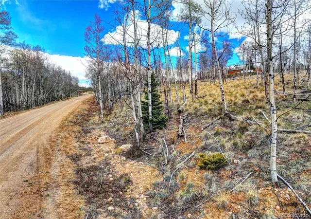Homes for sale in Jefferson, CO | 755 Selkirk Ln, Jefferson, CO 80456 | MLS# 4439807