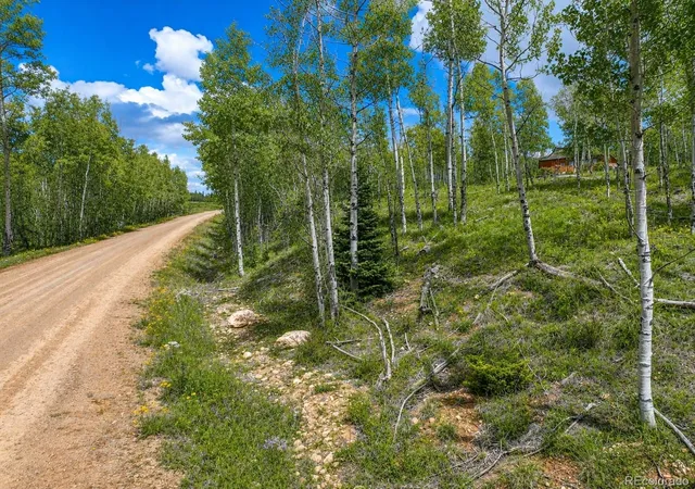 Photo 5 of Land for sale at 755 Selkirk Ln, Jefferson, CO 80456 | MLS# 4439807 | Listing updated on 2026-08-14