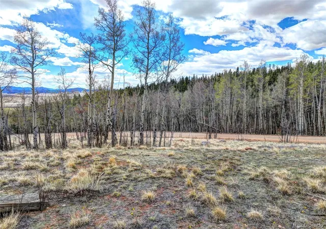 Photo 23 of Land for sale at 755 Selkirk Ln, Jefferson, CO 80456 | MLS# 4439807 | Listing updated on 2026-08-14