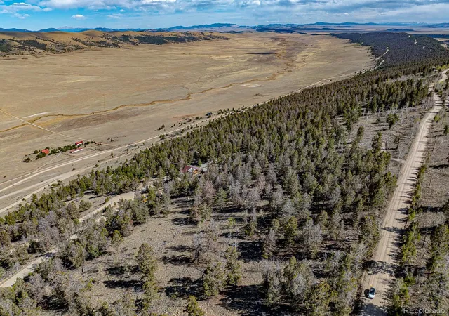 Homes for sale in Fairplay, CO | 5302 Middle Fork Vis, Fairplay, CO 80440 | MLS# 7769480