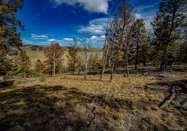 Photo 1 of Land for sale at 5302 Middle Frk Vista, Fairplay, CO 80440 | MLS# 7769480 | Listing updated on 2026-07-20
