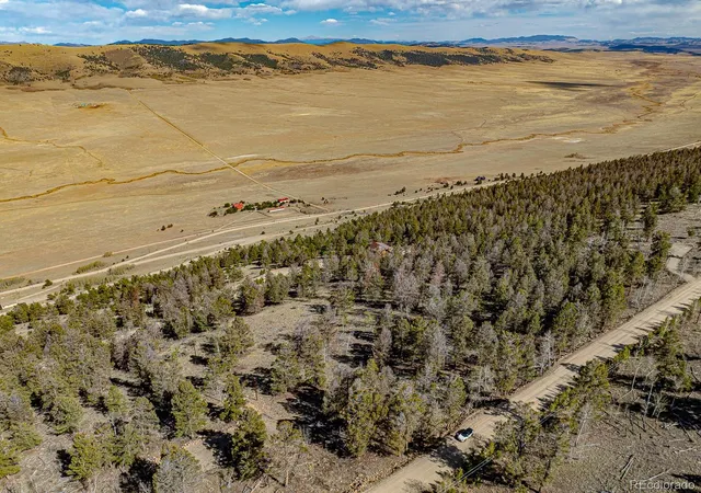 Homes for sale in Fairplay, CO | 5302 Middle Fork Vis, Fairplay, CO 80440 | MLS# 7769480