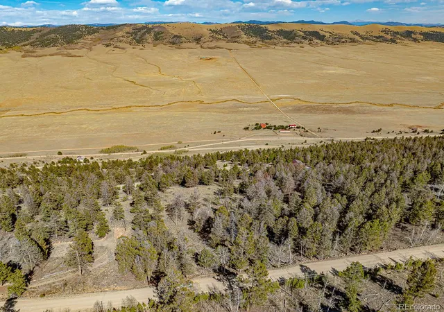 Homes for sale in Fairplay, CO | 5302 Middle Fork Vis, Fairplay, CO 80440 | MLS# 7769480