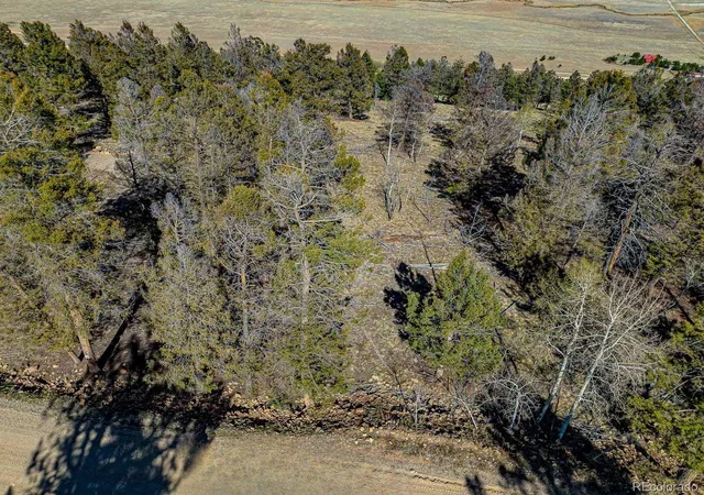 Homes for sale in Fairplay, CO | 5302 Middle Fork Vis, Fairplay, CO 80440 | MLS# 7769480