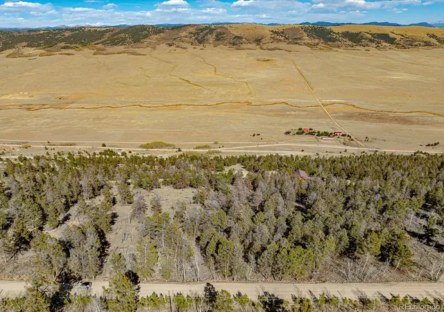 Homes for sale in Fairplay, CO | 5302 Middle Fork Vis, Fairplay, CO 80440 | MLS# 7769480