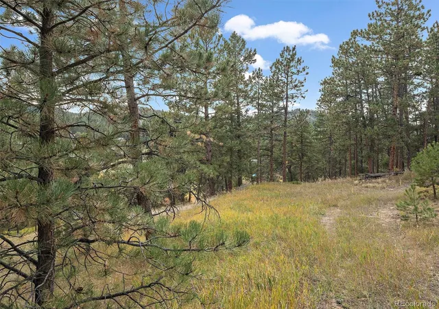 Photo 4 of Land for sale at 28155 Cragmont, Evergreen, CO 80439 | MLS# 1706485 | Listing updated on 2026-07-28