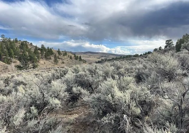 Photo 3 of Land for sale at Lot 166 Griffiths Drive, Fort Garland, CO 81133 | MLS# 8393728 | Listing updated on 2026-09-04