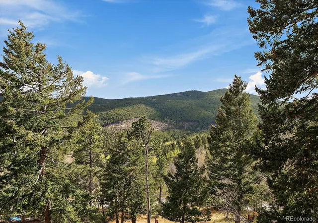 Homes for sale in Evergreen, CO | 81 Raccoon Cir, Evergreen, CO 80439 | MLS# 2234535