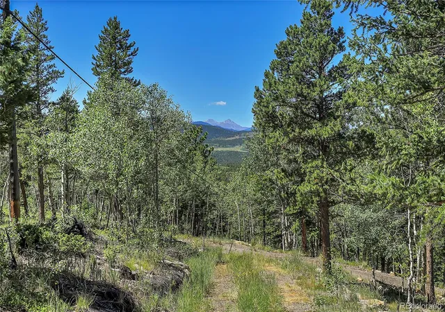 Homes for sale in Black Hawk, CO | Block 9 Lot 4 Hughesville Rd, Black Hawk, CO 80422 | MLS# 8545314