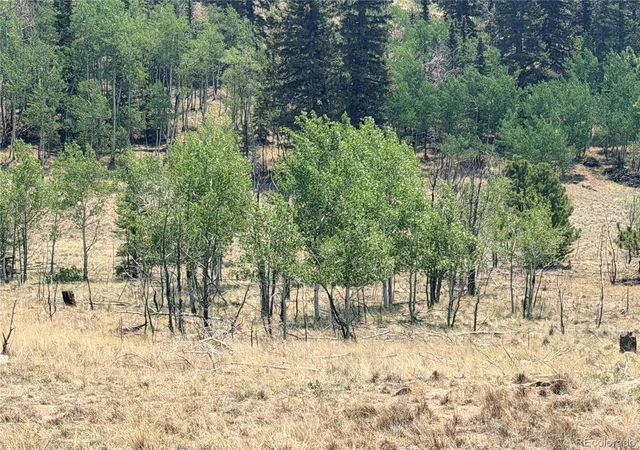 Photo 2 of Land for sale at 234 Warclub Ct, Jefferson, CO 80456 | MLS# 6050603 | Listing updated on 2026-08-14