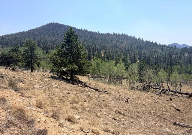 Photo 3 of Land for sale at 234 Warclub Ct, Jefferson, CO 80456 | MLS# 6050603 | Listing updated on 2026-08-14