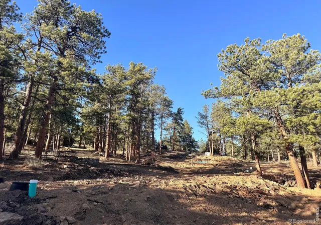 13th image of 49 Pine Dr, Lyons, CO 80540 | MLS# IR1057719