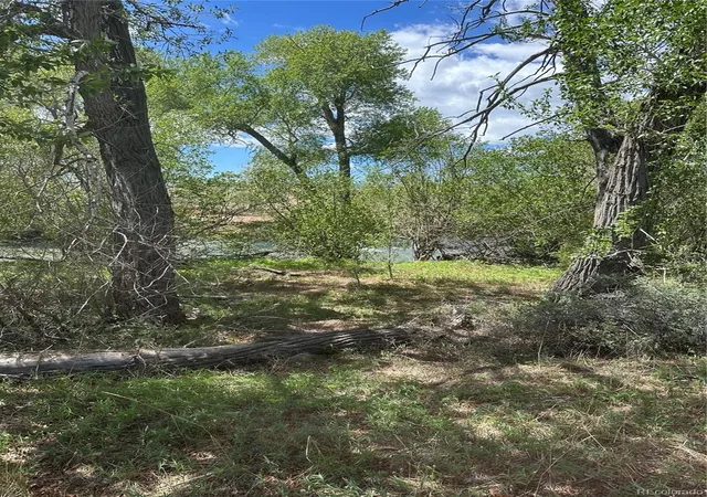 Homes for sale in Capulin, CO | Lot 109 Alamosa River Estates, Capulin, CO 81124 | MLS# 7615956