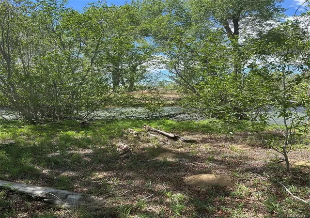 Homes for sale in Capulin, CO | Lot 109 Alamosa River Estates, Capulin, CO 81124 | MLS# 7615956
