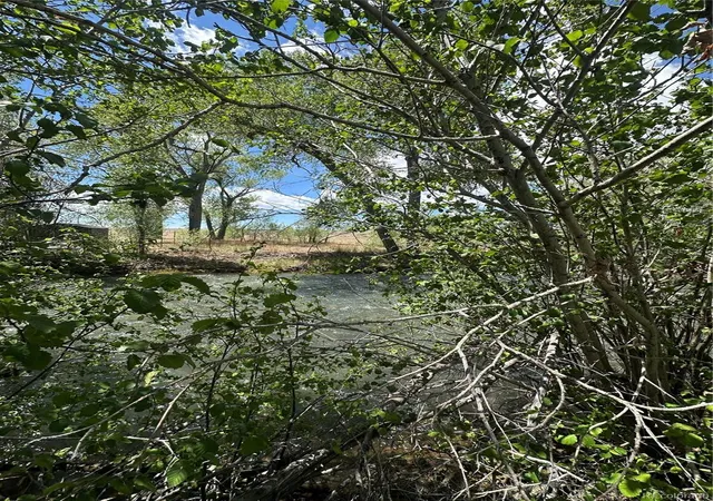 Homes for sale in Capulin, CO | Lot 109 Alamosa River Estates, Capulin, CO 81124 | MLS# 7615956