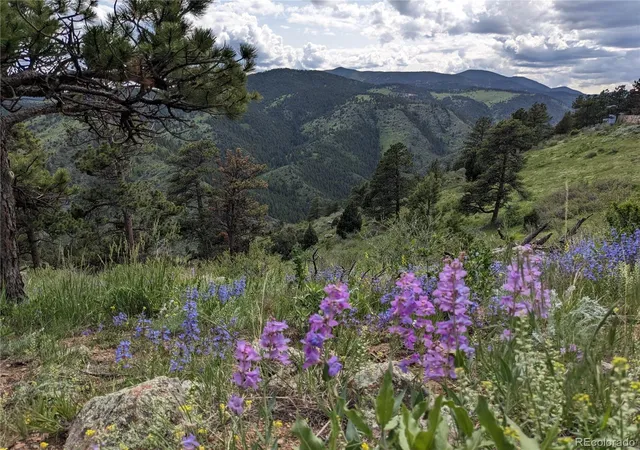 5th image of 25421 Westridge Rd, Golden, CO 80403 | MLS# 7208960