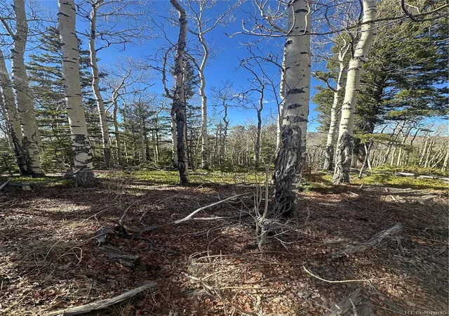 Homes for sale in San Luis, CO | Lot 6744 Starkweather Rd, San Luis, CO 81152 | MLS# 3374189