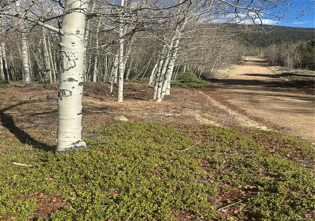 Homes for sale in San Luis, CO | Lot 6744 Starkweather Rd, San Luis, CO 81152 | MLS# 3374189