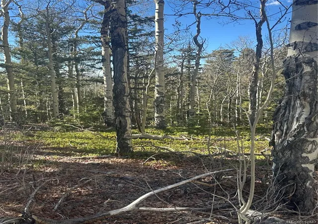 Homes for sale in San Luis, CO | Lot 6744 Starkweather Rd, San Luis, CO 81152 | MLS# 3374189