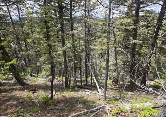 Homes for sale in San Luis, CO | Lot 6744 Starkweather Rd, San Luis, CO 81152 | MLS# 3374189
