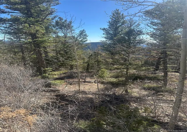 Photo 4 of Land for sale at Lot 6742 Starkweather Rd, San Luis, CO 81152 | MLS# 3639788 | Listing updated on 2026-06-29