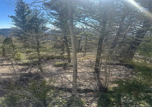 Photo 5 of Land for sale at Lot 6742 Starkweather Rd, San Luis, CO 81152 | MLS# 3639788 | Listing updated on 2026-06-29