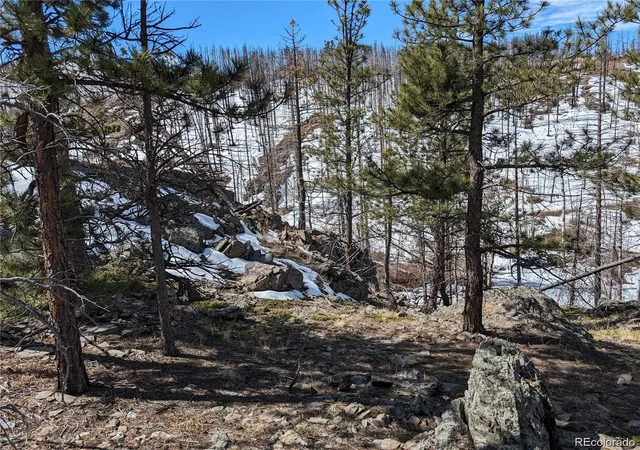 Homes for sale in Bellvue, CO | 60 Powder Horn Trl, Bellvue, CO 80512 | MLS# 7558117