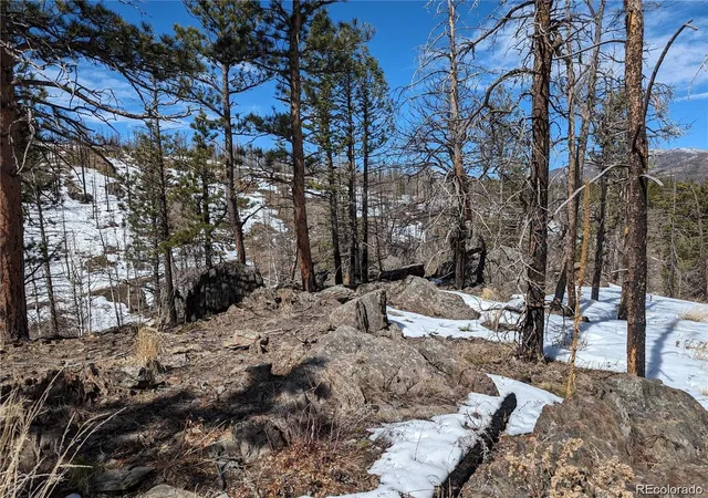 Homes for sale in Bellvue, CO | 60 Powder Horn Trl, Bellvue, CO 80512 | MLS# 7558117