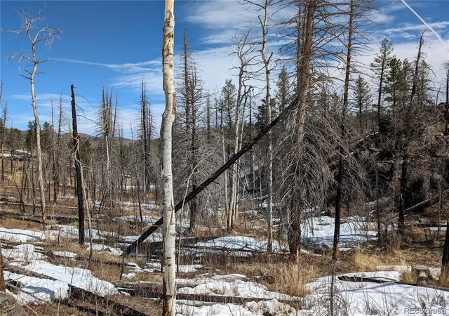 Homes for sale in Bellvue, CO | 60 Powder Horn Trl, Bellvue, CO 80512 | MLS# 7558117