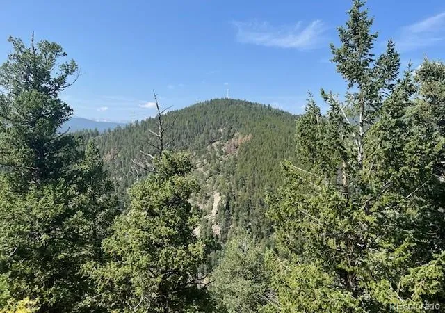 Homes for sale in Idaho Springs, CO | 000 Raven Dr, Idaho Springs, CO 80452 | MLS# 1862746