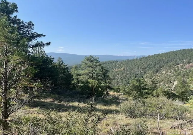 Homes for sale in Idaho Springs, CO | 000 Raven Dr, Idaho Springs, CO 80452 | MLS# 1862746