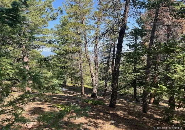 Photo 3 of Land for sale at 000 Raven Dr, Idaho Springs, CO 80452 | MLS# 1862746 | Listing updated on 2026-10-07