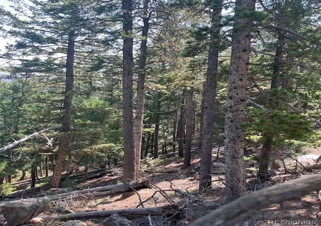 Photo 4 of Land for sale at 000 Raven Dr, Idaho Springs, CO 80452 | MLS# 1862746 | Listing updated on 2026-10-07