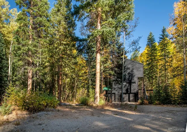 Homes for sale in Dumont, CO | 48 Moss Ln, Dumont, CO 80436 | MLS# 2680802