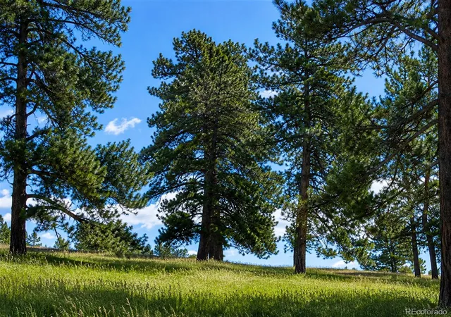10th image of Forest Rim Rd, Aurora, CO 80016 | MLS# 8763674