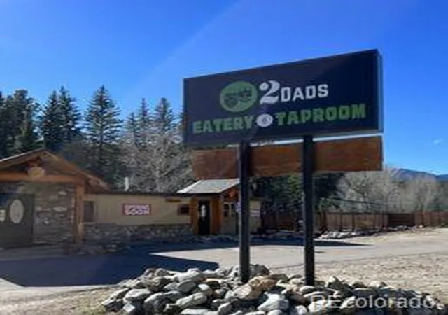 Homes for sale in Bailey, CO | 124 River Dr, Bailey, CO 80421 | MLS# 8098503