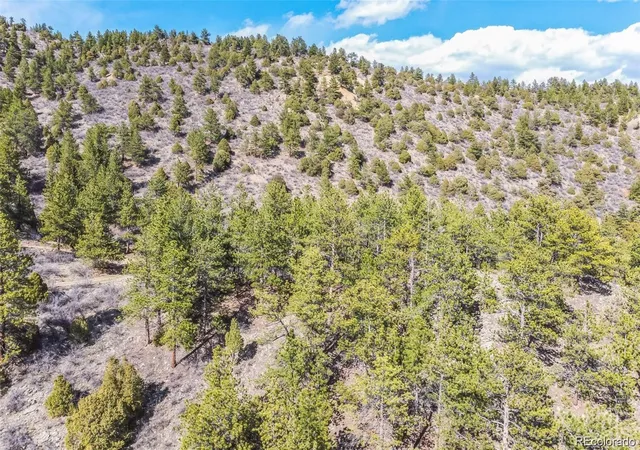 Homes for sale in Dumont, CO | Wild Wagoner Tr, Dumont, CO 80452 | MLS# 6121580
