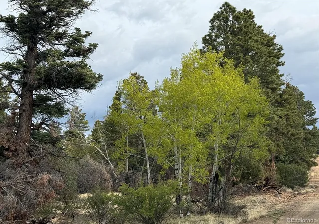 Photo 1 of Land for sale at Lot 154 Tahmoush Ln, Fort Garland, CO 81133 | MLS# 2463238 | Listing updated on 2026-08-27