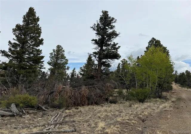 Photo 29 of Land for sale at Lot 154 Tahmoush Ln, Fort Garland, CO 81133 | MLS# 2463238 | Listing updated on 2026-08-27