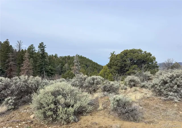 Photo 4 of Land for sale at Lot 154 Tahmoush Ln, Fort Garland, CO 81133 | MLS# 2463238 | Listing updated on 2026-08-27