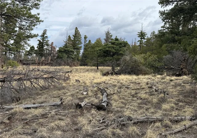 Photo 5 of Land for sale at Lot 154 Tahmoush Ln, Fort Garland, CO 81133 | MLS# 2463238 | Listing updated on 2026-08-27