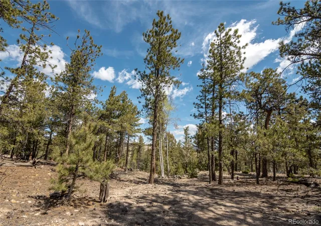 Homes for sale in Hartsel, CO | 75 Whip Wy, Hartsel, CO 80449 | MLS# 7804698