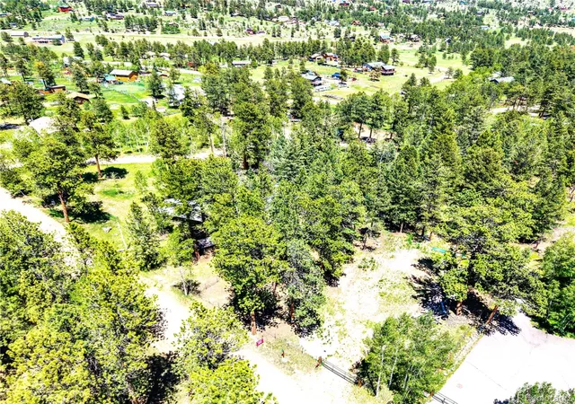 Homes for sale in Bailey, CO | 252 Beaver Trl, Bailey, CO 80421 | MLS# 5799084
