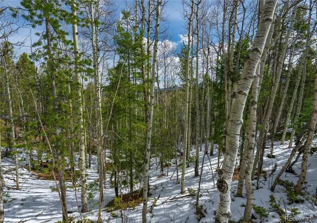 Homes for sale in Cripple Creek, CO | 224 Deadwood Rd, Cripple Creek, CO 80813 | MLS# 4606817